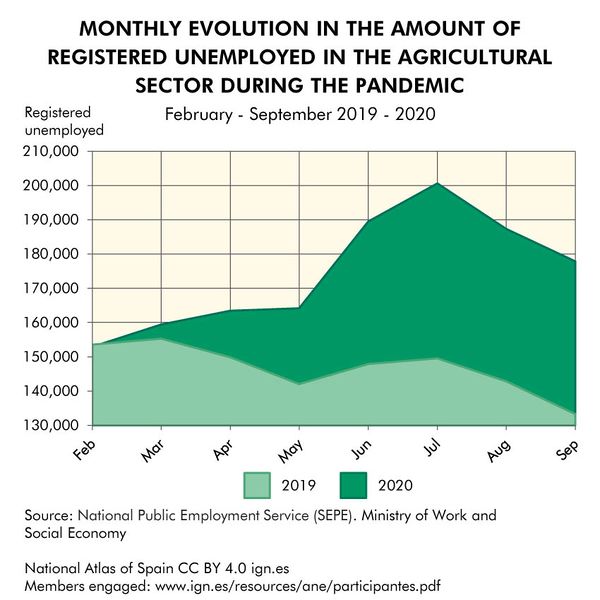 File:Spain Monthly-evolution-in-the-amount-of-registered-unemployed-in-the-agricultural-sector-during-the-pandemic 2019-2020 statisticalgraph 18322 eng.jpg